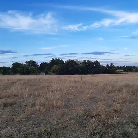 Maison Blanche Piscine Et Petit Dejeuner 3*