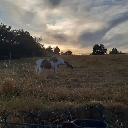 B&B Maison Blanche Piscine Et Petit Dejeuner 샤틀레로