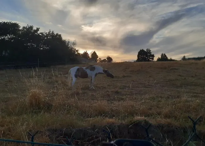 Bed and breakfast Maison Blanche Piscine Et Petit Déjeuner Châtellerault